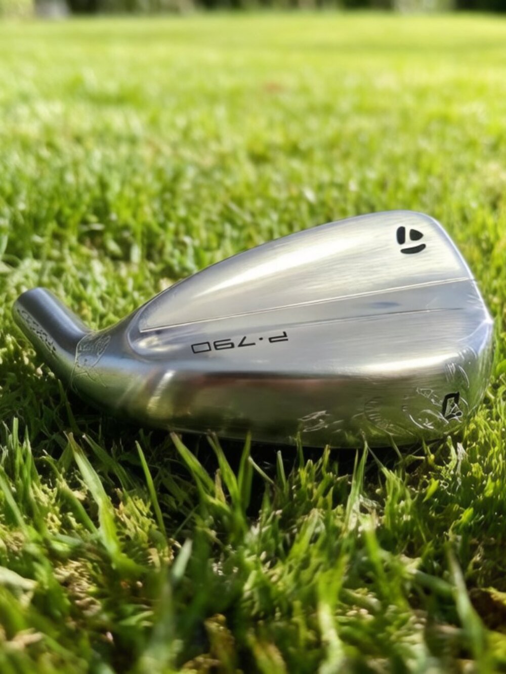 NEW TaylorMade P790 4th P club head RH only iron club head